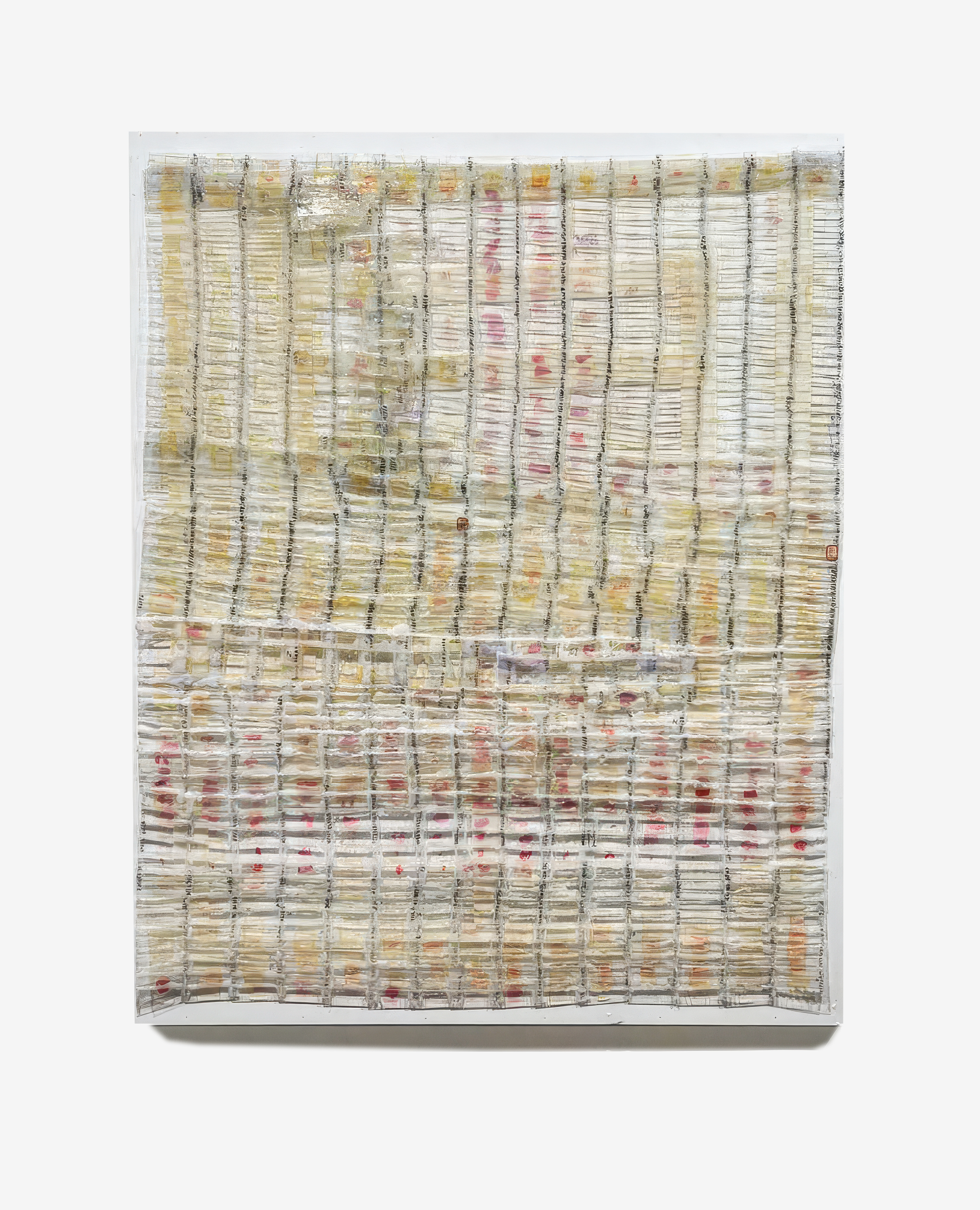 Square Petri dishes